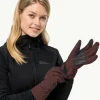 Alpspitze Merino Glove