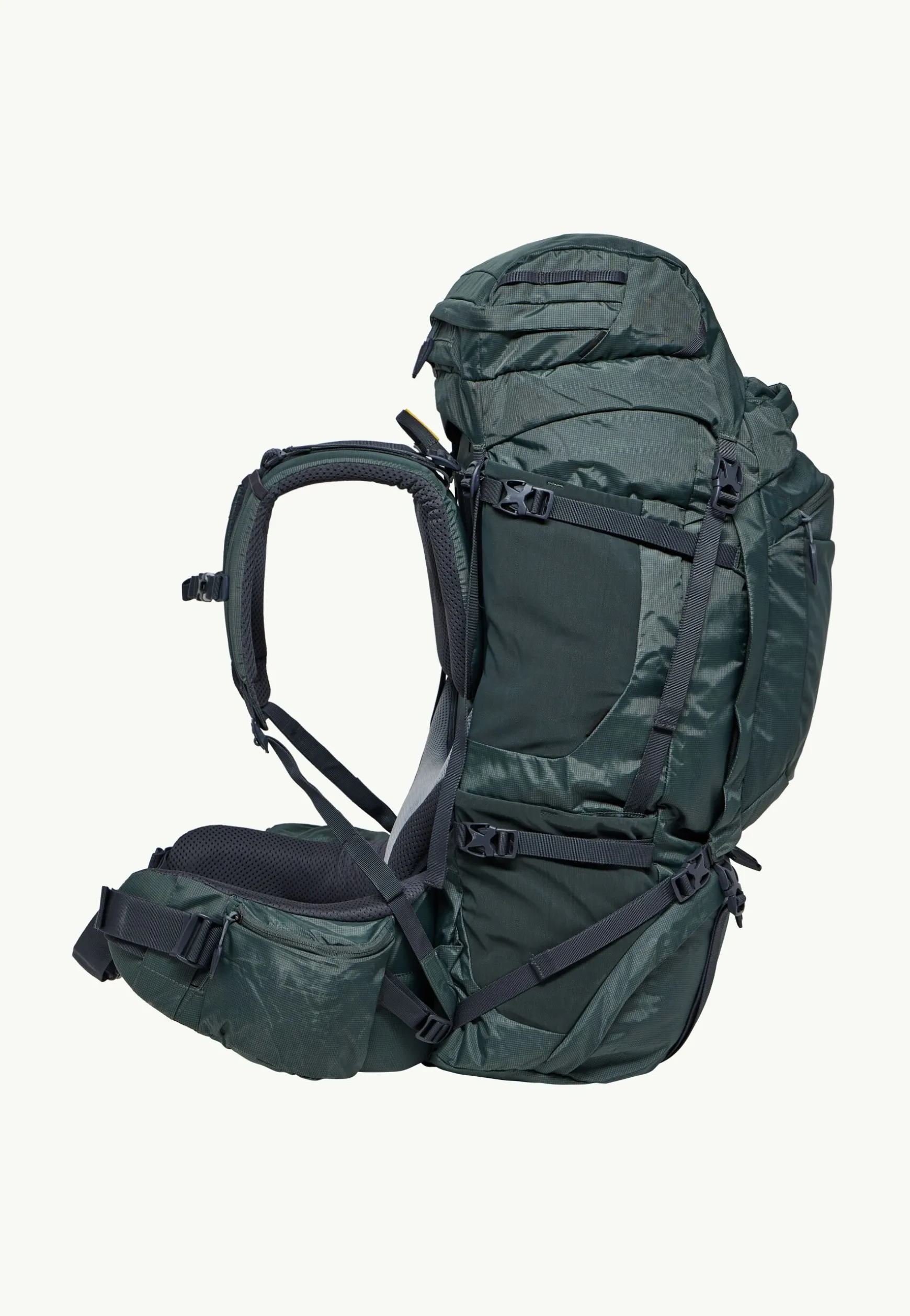 Denali 65 | 10 Men