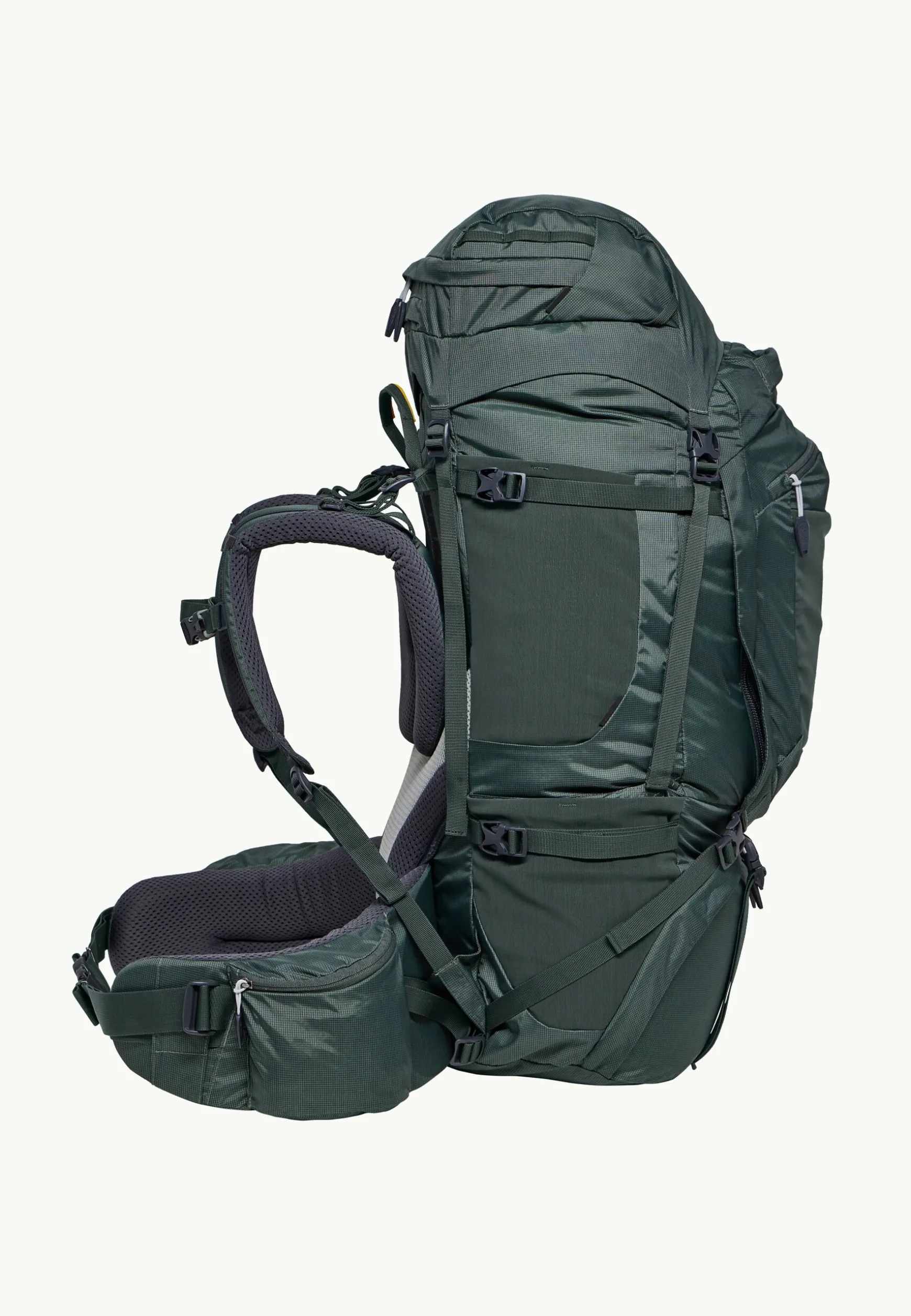 Denali 65 | 10 Women