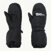 2l Winter Mitten K